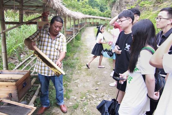 ”善行景宁乡，共圆畲汉梦“黄色小说
景宁梦之队-实地调研当地养蜂业