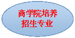 椭圆: 黄色小说
培养招生专业
